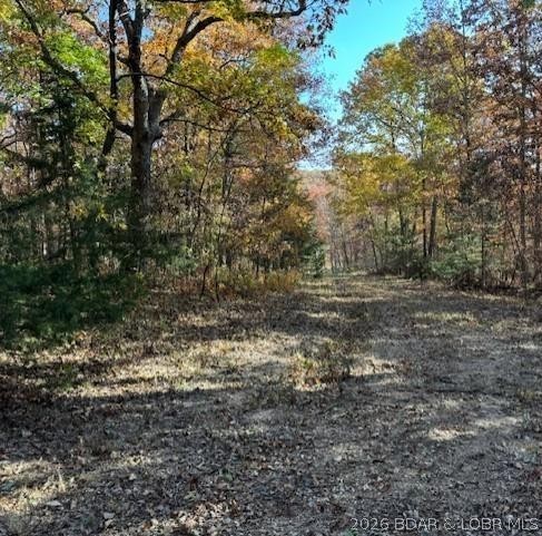 Primary bedroom — 80 Acres Fair Oaks Drive Lincoln Missouri real estate