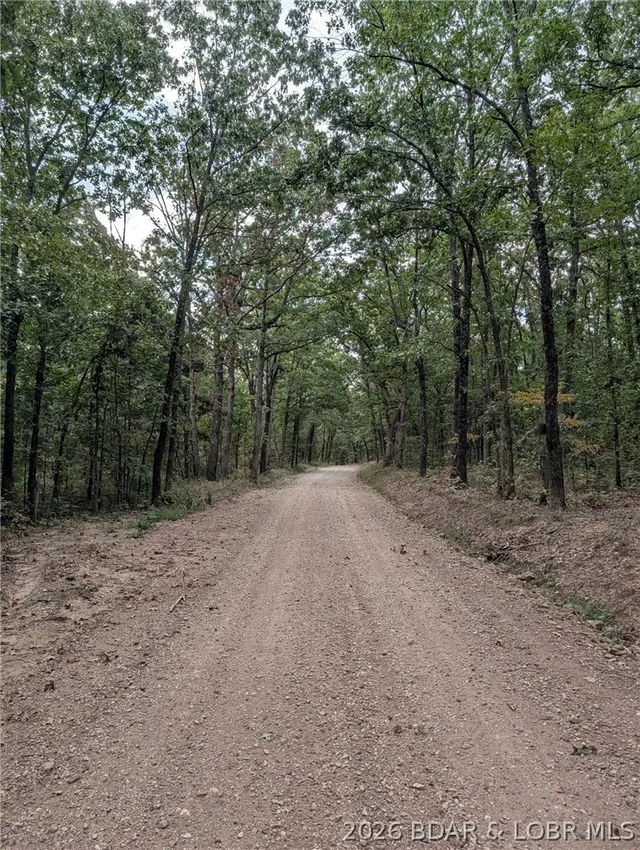20+- Acres McCasland Rd, Stover MO