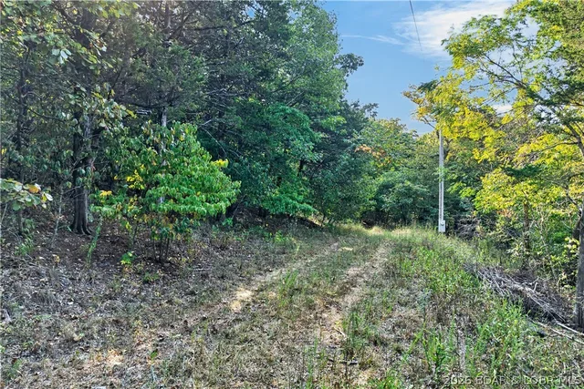 Kitchen — Lots 91-94 Sunset Shores Lane Climax Springs Missouri real estate