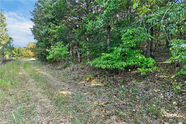 Primary bedroom — Lots 91-94 Sunset Shores Lane Climax Springs Missouri real estate