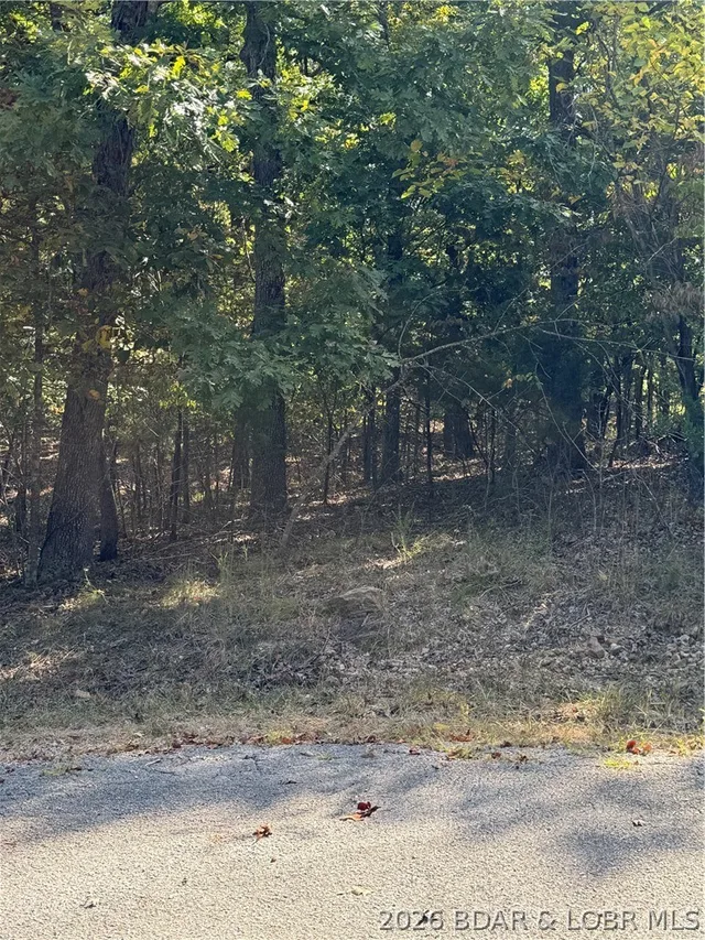 Front exterior — Lot 1093 Salem Drive Four Seasons Missouri real estate