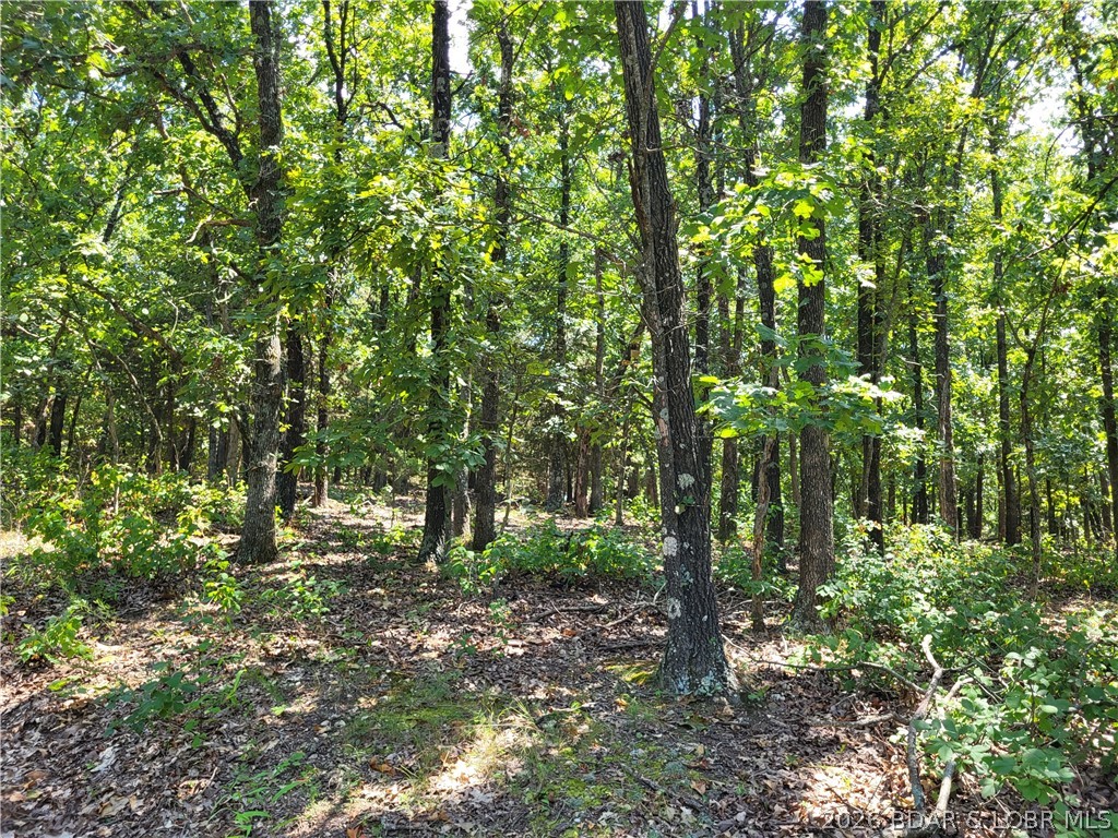 Trinchera Road, Edwards MO