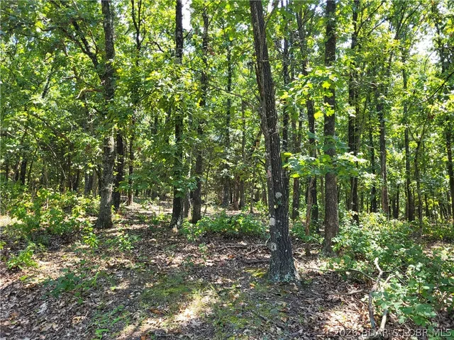 Trinchera Road, Edwards MO
