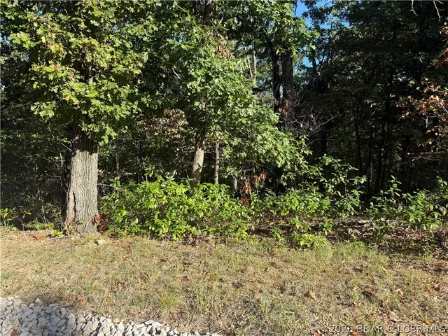 Kitchen — Lot 946 & 947 Nassau Circle Four Seasons Missouri real estate