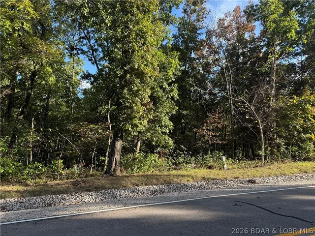 Primary bedroom — Lot 946 & 947 Nassau Circle Four Seasons Missouri real estate