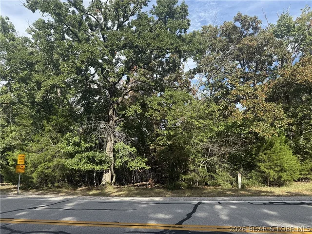 Primary bedroom — Lot 453 Linn Creek Road Four Seasons Missouri real estate