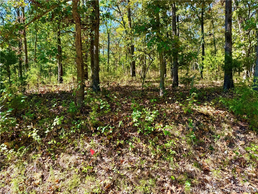 Off Saint Saveur Drive, Edwards MO