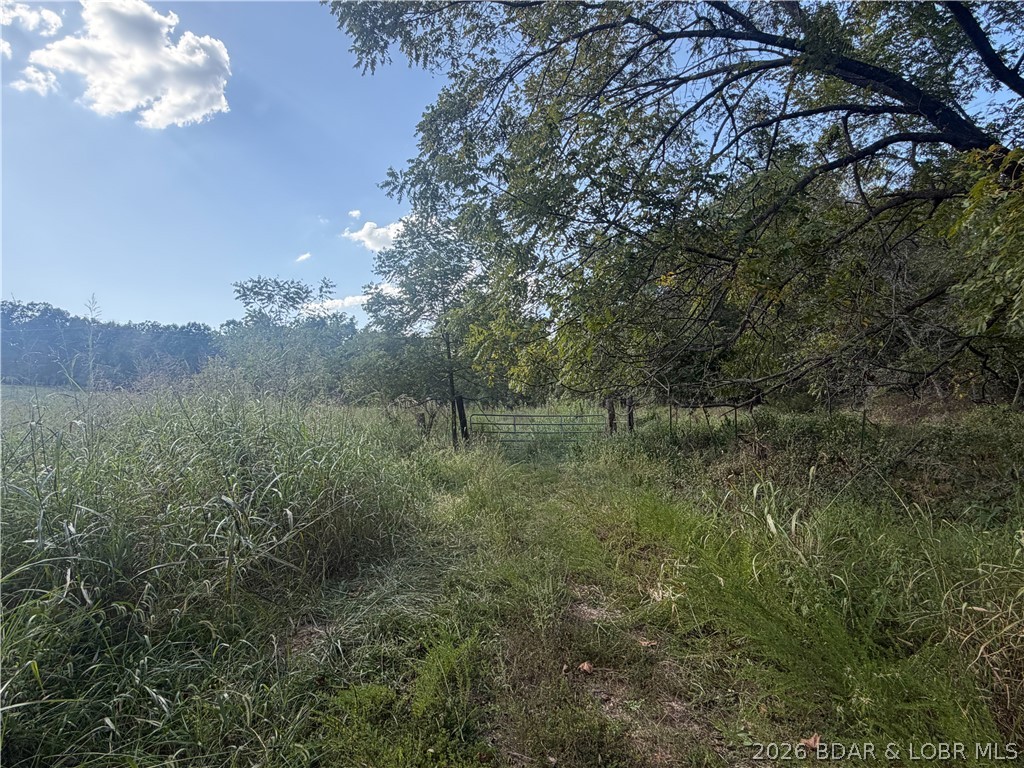 11084 Soap Creek, Gravois Mills MO
