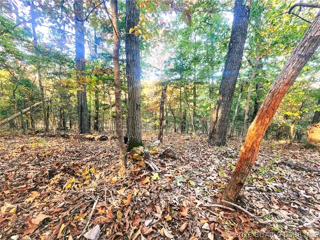 96 Dog Creek School Rd Road, Ulman MO