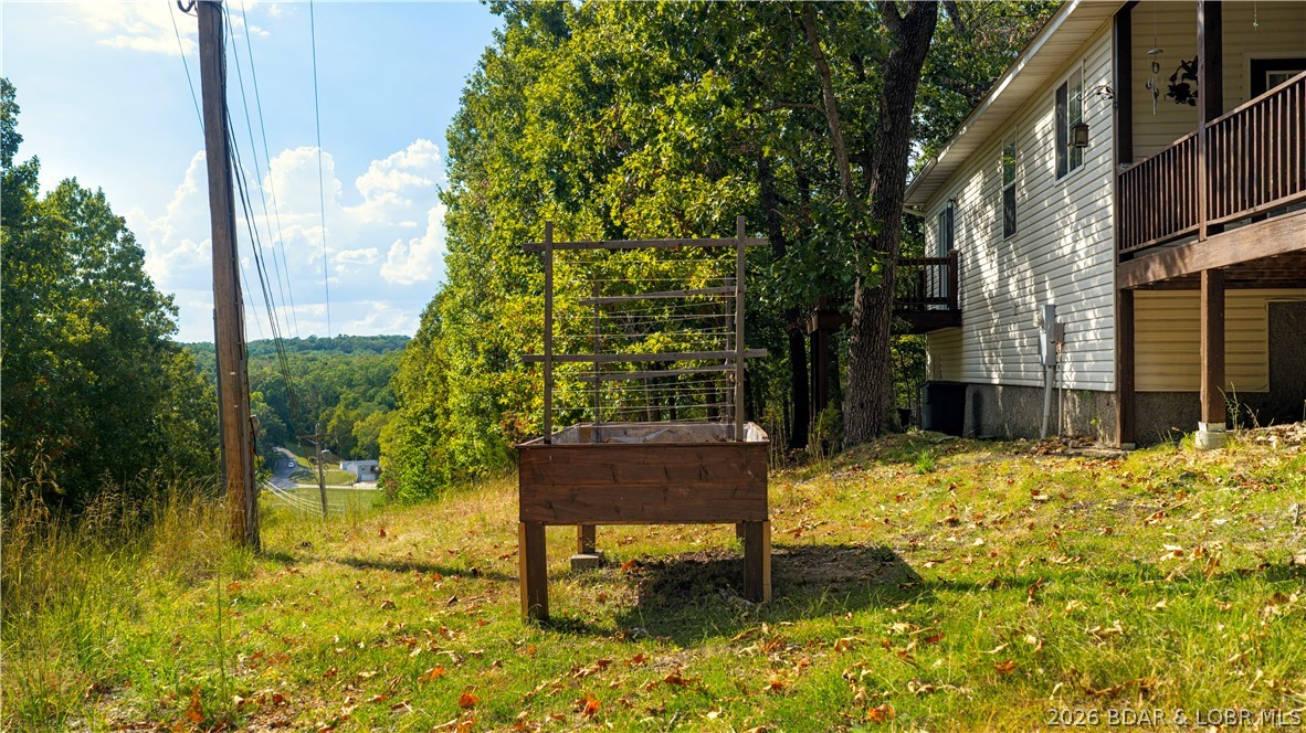 Photo 45