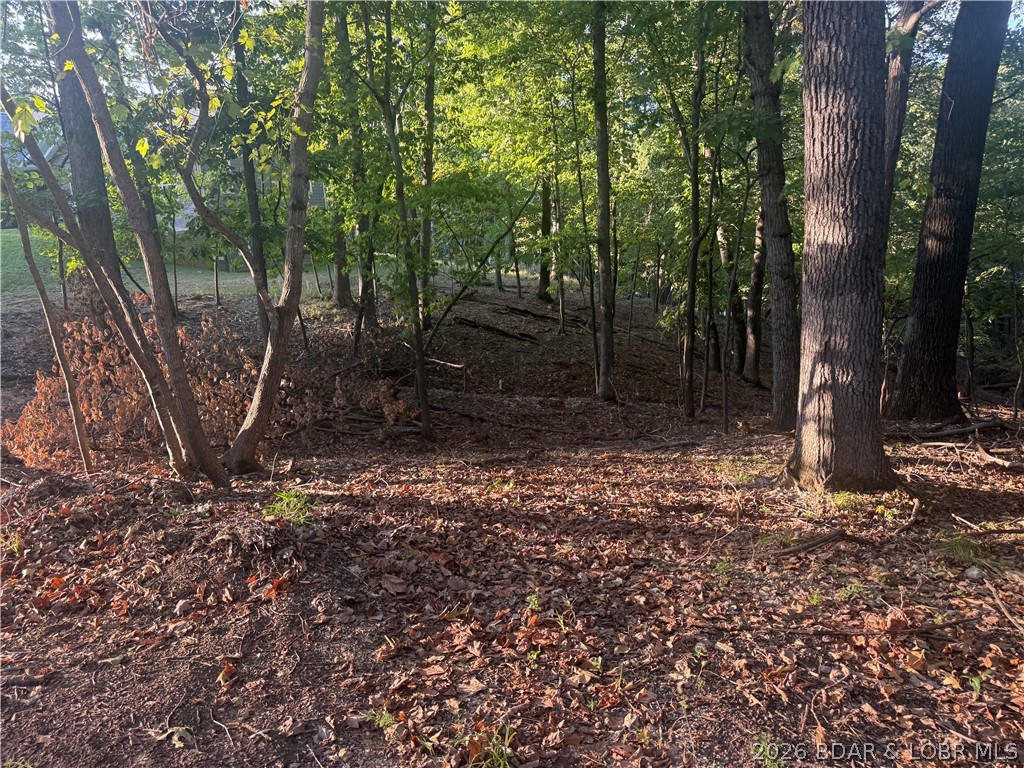 Lot 334 Lake Drive Porto Cima Missouri home for sale listed at $55,000