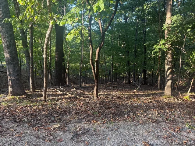 Front exterior — Lot 334 Lake Drive Porto Cima Missouri real estate