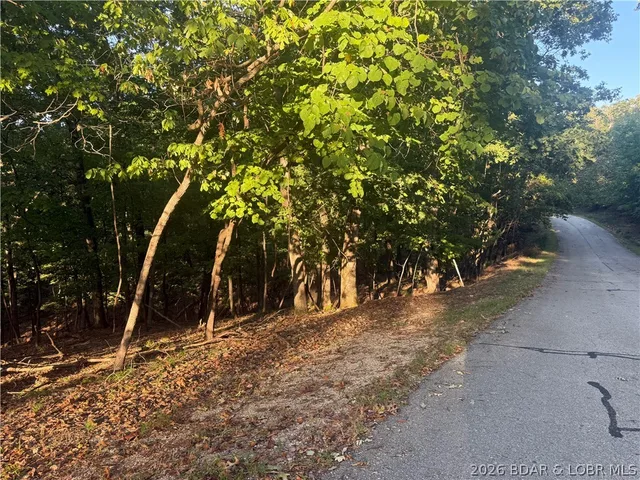 Living room — Lot 334 Lake Drive Porto Cima Missouri real estate