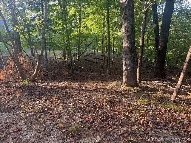 Primary bedroom — Lot 334 Lake Drive Porto Cima Missouri real estate
