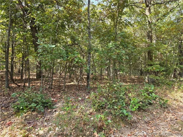 Araskog Drive, Edwards MO