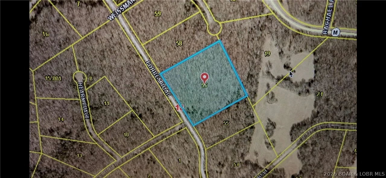 Forbes Road Edwards Missouri home for sale listed at $9,000