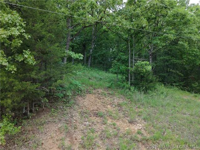 Primary bedroom — Lots 11 and 14 Mohawk Lane Rocky Mount Missouri real estate
