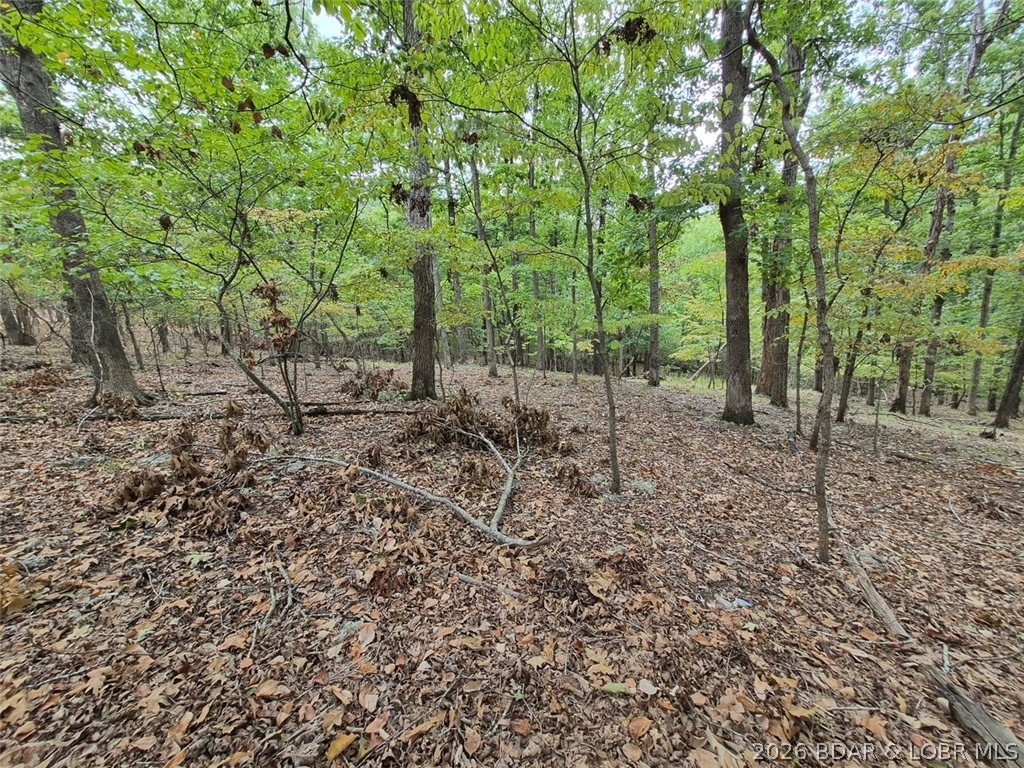 Lot 496 Akron Court Lake Ozark Missouri home for sale listed at $5,500