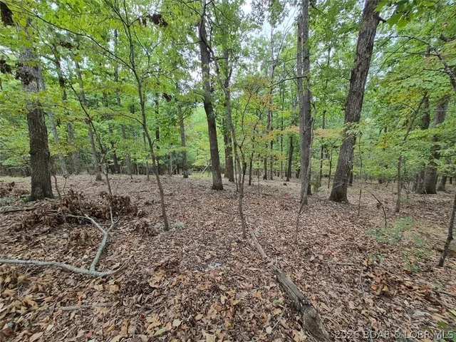 Living room — Lot 496 Akron Court Lake Ozark Missouri real estate