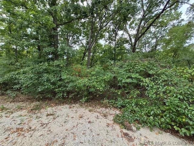 Kitchen — Lot 496 Akron Court Lake Ozark Missouri real estate