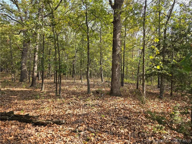 Forbes Road, Edwards MO