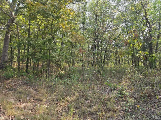 Front exterior — Forbes Road Edwards Missouri real estate