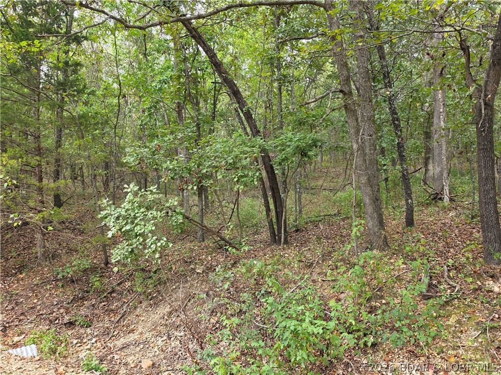 Photo 20