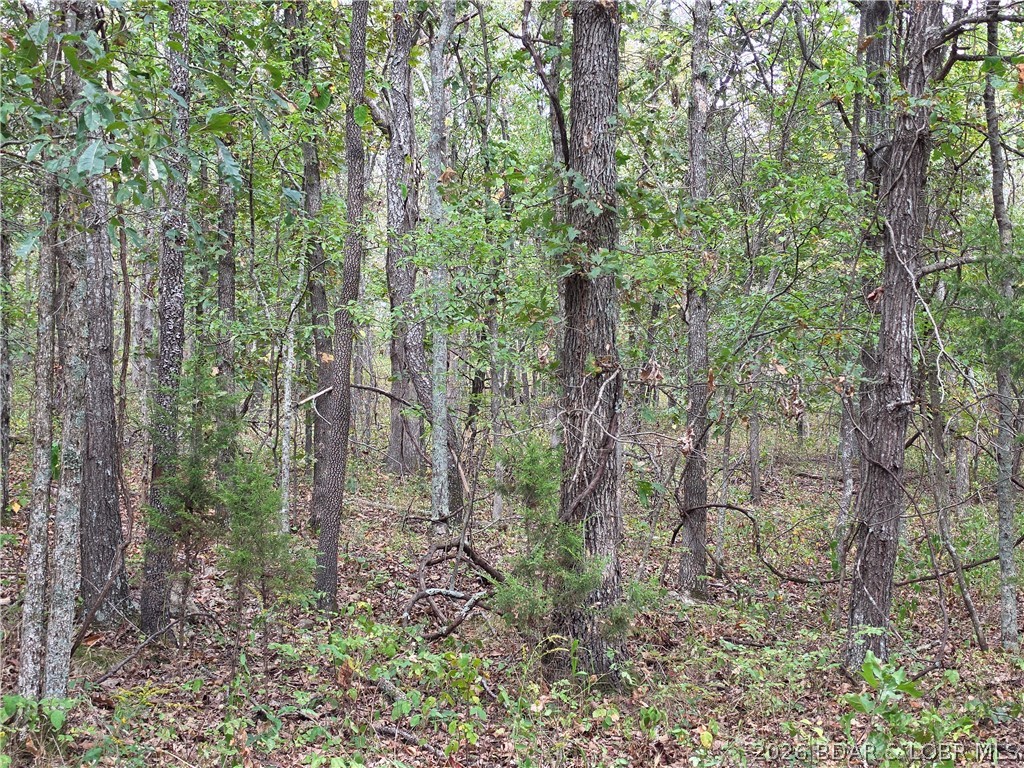 Photo 25