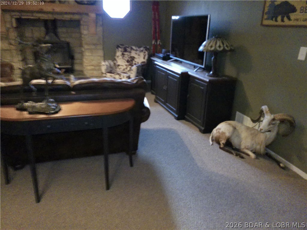 Photo 29