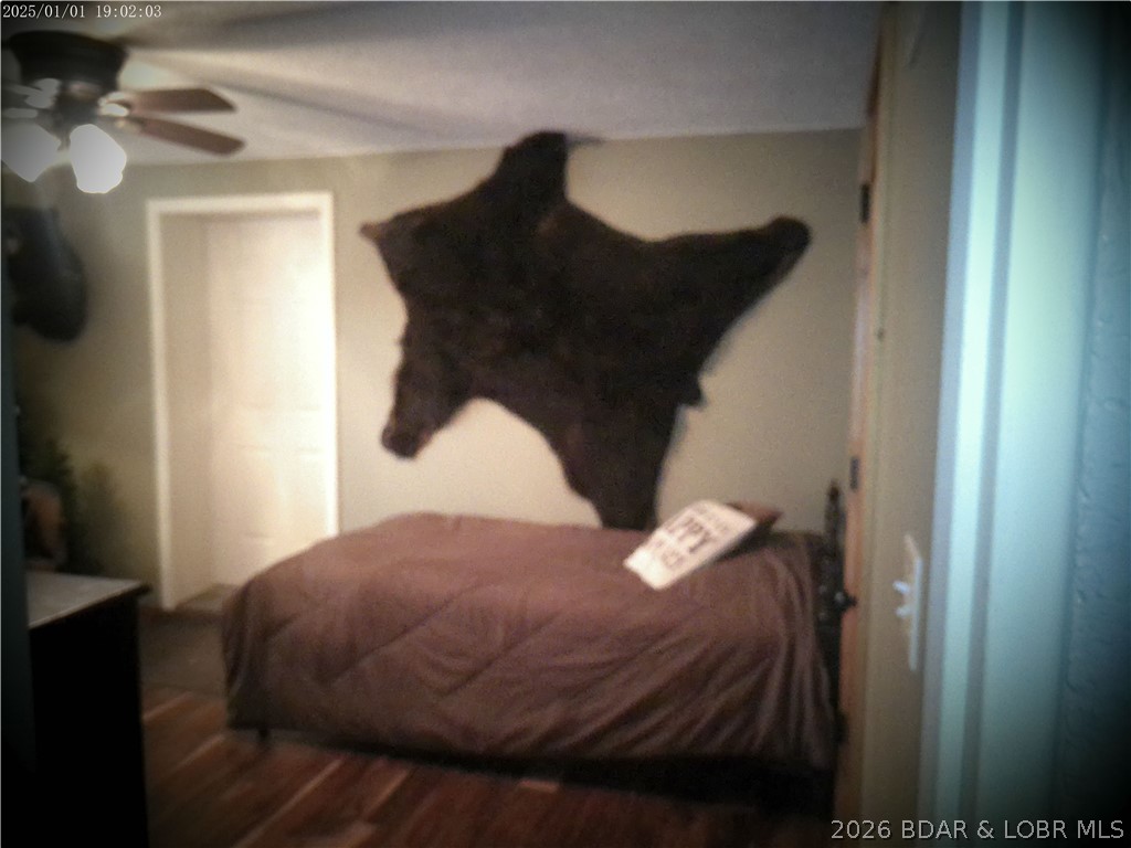 Photo 47