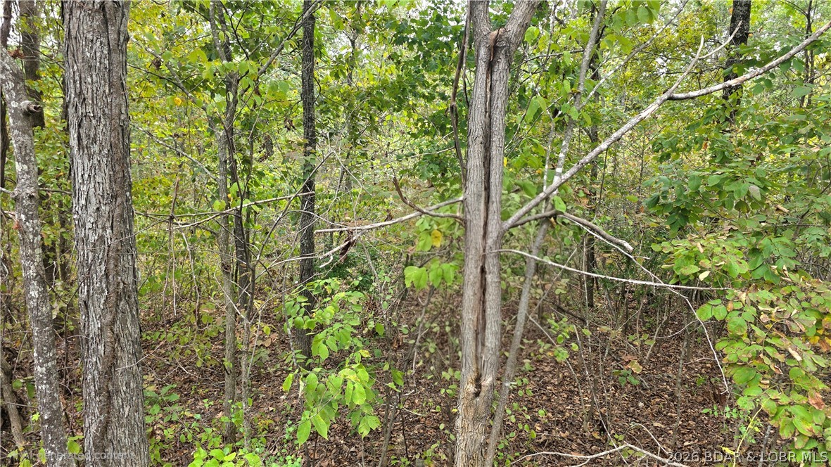 24990 Blue Waters Rd Versailles Missouri home for sale listed at $28,000