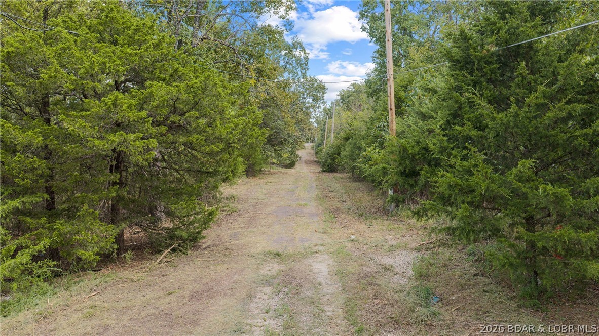 Photo 43
