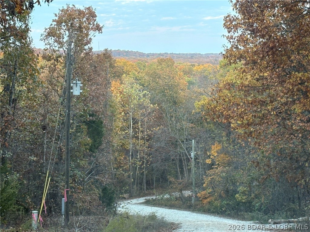 Photo 43