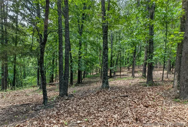 Primary bedroom — 53 Acres Buckridge Road Climax Springs Missouri real estate