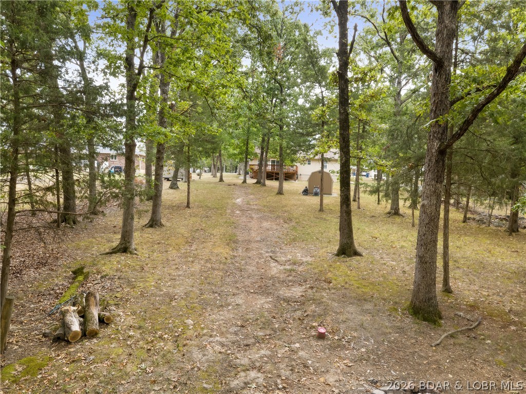 Photo 43