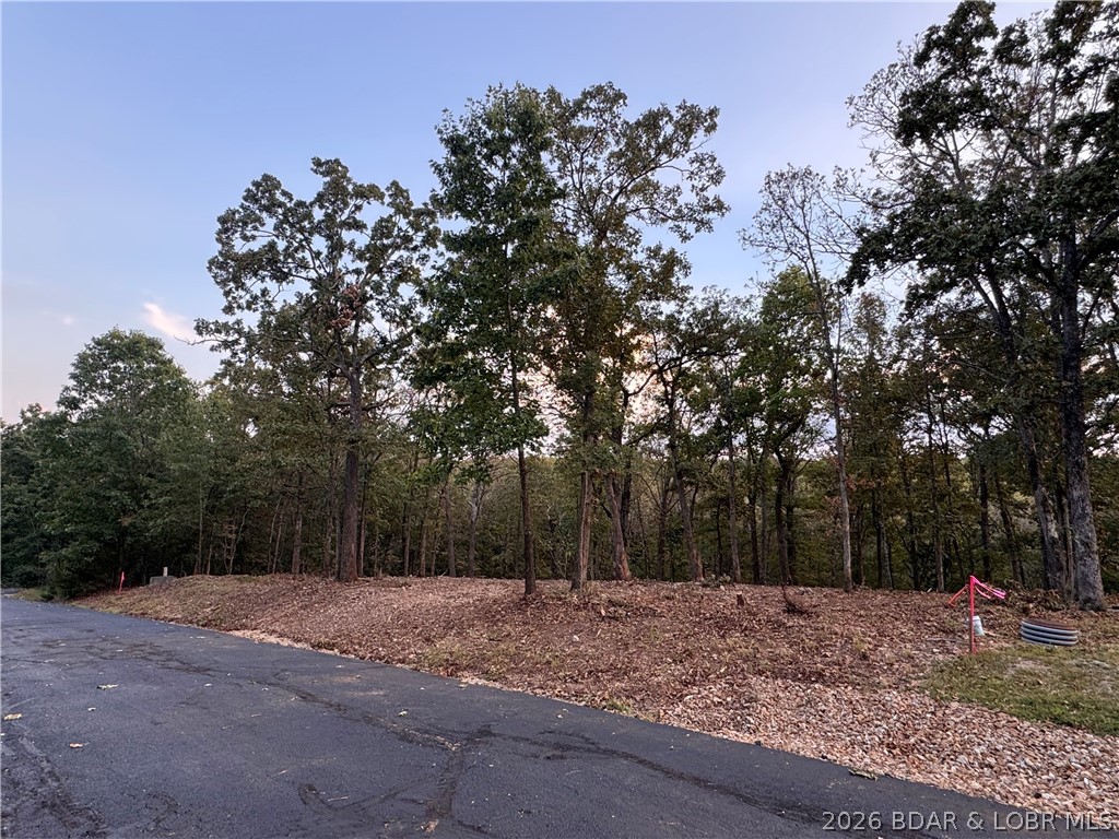 Lot 1303 Winstrome Ct Porto Cima Missouri home for sale listed at $29,900