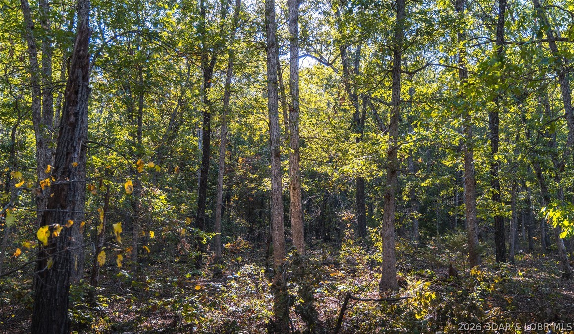 50 acres Partridge Drive, Climax Springs MO