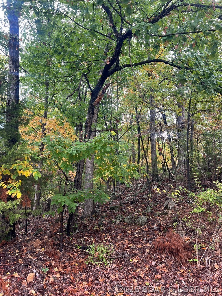 Mace & Holiday Shores Drive Osage Beach Missouri home for sale listed at $795,000