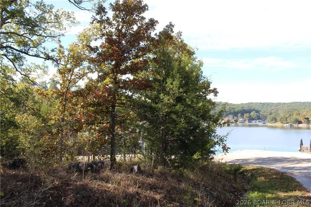Living room — .87 Ac Lot 63 Eagle View Lane Gravois Mills Missouri real estate