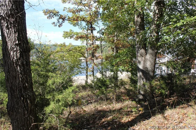 Primary bedroom — .87 Ac Lot 63 Eagle View Lane Gravois Mills Missouri real estate