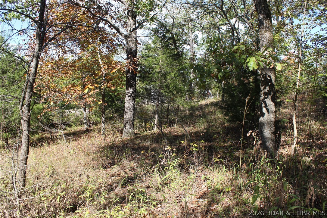 Photo 22