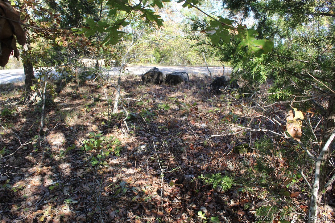 Photo 27