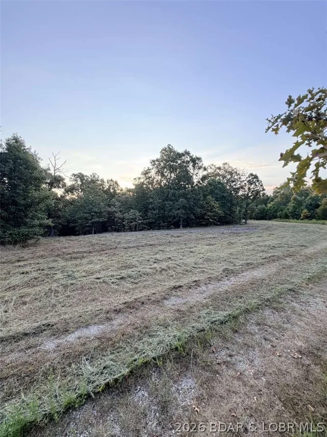0 Higgens Avenue, Camdenton MO