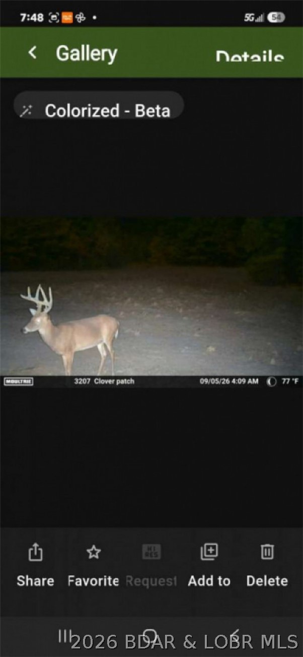 Photo 20
