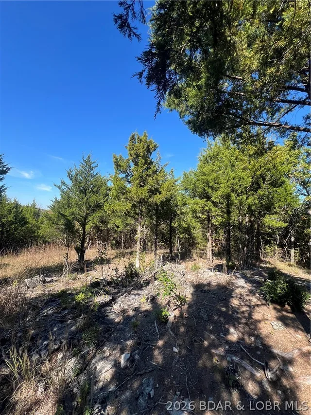 Primary bedroom — Little Indian Road Roach Missouri real estate