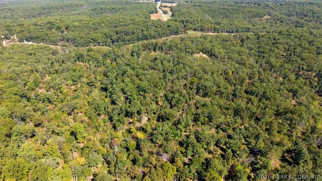 Primary bedroom — Tract 5 T Highway Stover Missouri real estate