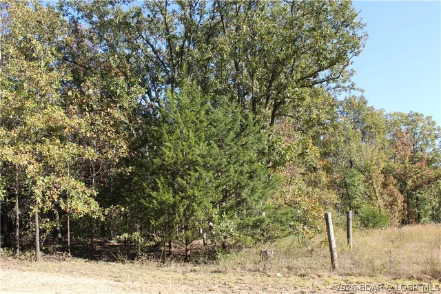 Living room — 3.39 ac Leaning Tree Road Versailles Missouri real estate