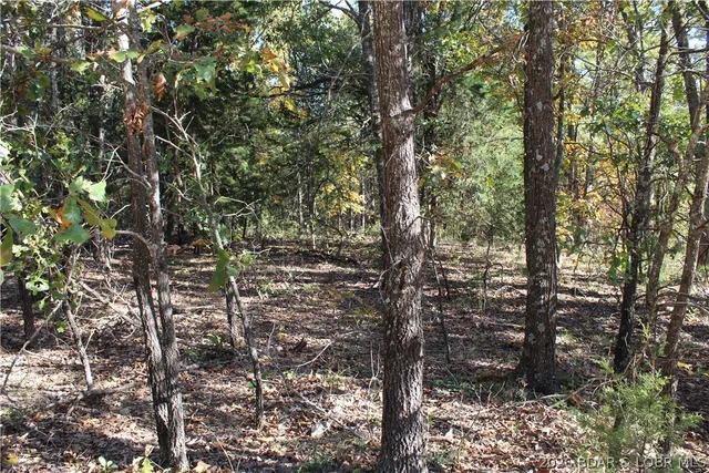 Primary bedroom — 3.39 ac Leaning Tree Road Versailles Missouri real estate