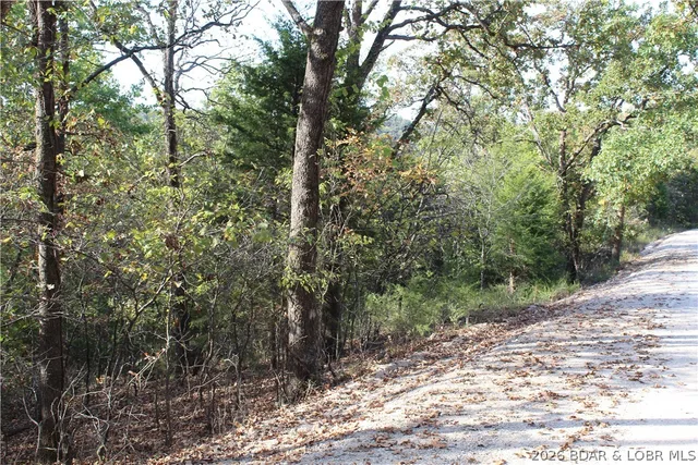 Front exterior — 2.5 acres Cape Wood Drive Linn Creek Missouri real estate