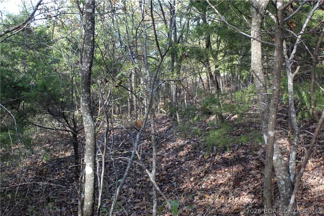 Primary bedroom — 2.5 acres Cape Wood Drive Linn Creek Missouri real estate